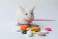 Do 9 out of 10 drugs tested on animals really fail when applied to people?